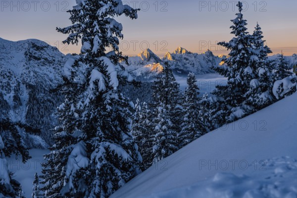 Sunrise snow tour on the Tegelberg in the Allgäu in Bavaria. Winter Wonder Land, Germany, Europe