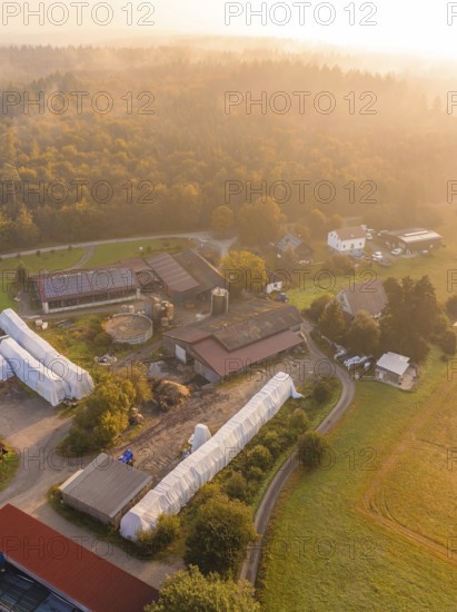 Close-up of a farm with buildings, meadows and fields at sunset, Gechingen, Black Forest, Germany, Europe