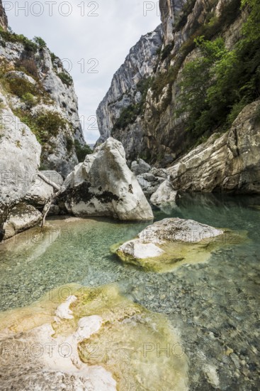 Verdon Gorge, Gorges du Verdon, Verdon Regional nature park Park, Provence, Provence-Alpes-Cote-d'Azur, South of France, France, Europe
