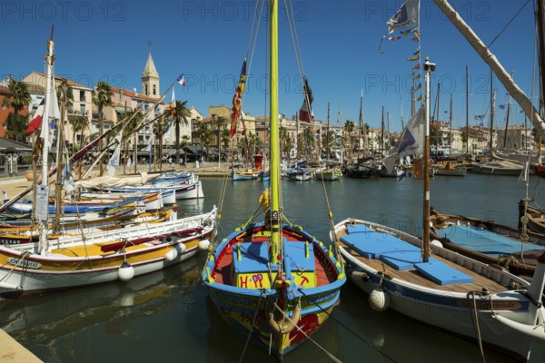 Harbour with historic fishing boats, Sanary-sur-Mer, Provence-Alpes-Côte d'Azur, France, Europe