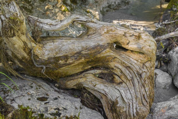 Driftwood, Rissbach creek, Eng valley, stones and flowing water