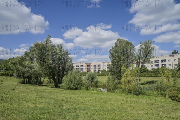Residential buildings, Hufeisenteich, Lowise-Reuter-Ring, Hufeisensiedlung, Britz, Neukölln, Berlin, Germany, Europe