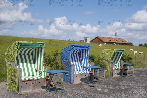Beach chairs on the promenade, Wyk, Föhr, North Sea island, North Frisia, Schleswig-Holstein, Germany, Europe