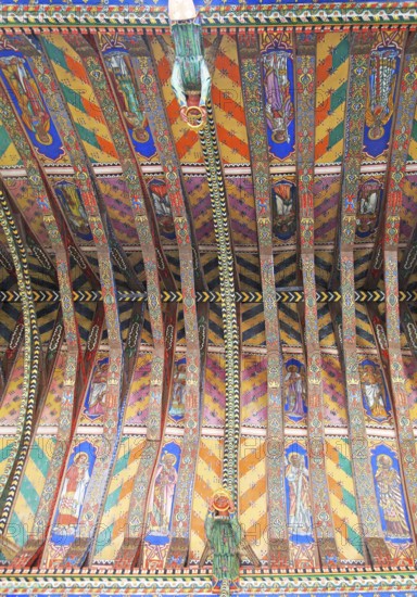 Painted ceiling by Mildred Holland 1863-66, Huntingfield church, Suffolk, England, UK