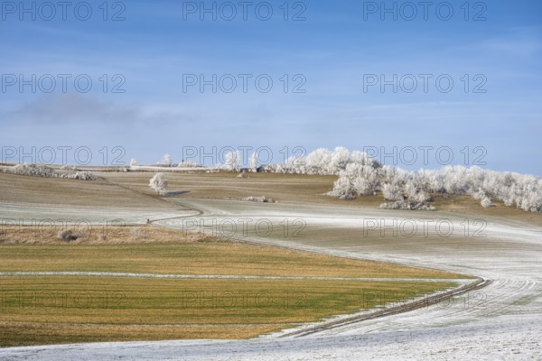 Winter landscape Fields, trees and meadows covered with snow and hoar frost, Hegau, Constance district, Baden-Württemberg, Germany, Europe