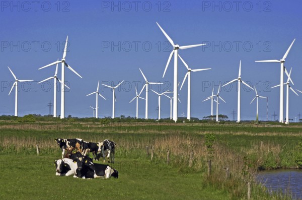 Wind power plant, wind turbines, wind turbine, electricity, power generation, alternative energies, East Frisia, Lower Saxony, Federal Republic of Germany
