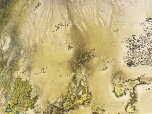 Marshland at low tide. Nature Reserve La Breña y Marismas del Barbate. Aerial view. Drone shot. Cádiz province, Andalusia, Spain, Europe