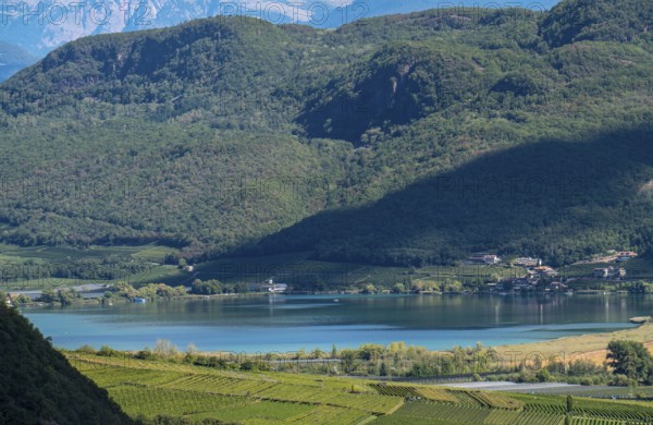 Lake Kaltern, near the village of Kaltern, in the Adige Valley in South Tyrol, one of the two warmest lakes in the Alps, bathing lake, surrounded by vineyards and apple orchards, Italy, Europe