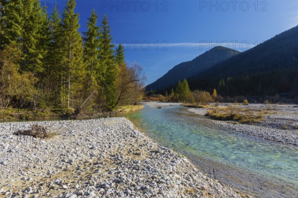 Isar valley nature conservancy area. The wild Isar river flows through its gravel bed past driftwood and entrained trees and bushes . Early morning
