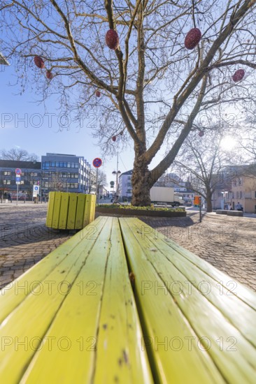 Oblique perspective of a green bench under a tree in sunshine, Sindelfingen, Böblingen district, Germany, Europe