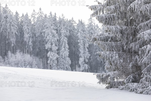 Snow-covered winter landscape decorated with hoarfrost near Eibenstock, Erzgebirge, Saxony, Germany, Europe