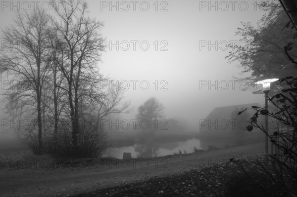 Early morning fog on an estate Othenstorf, Mecklenburg-Western Pomerania, Germany, Europe