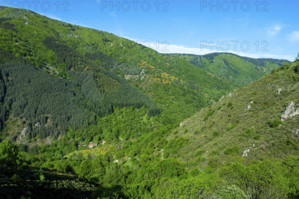 View of the Vivarais mountains from the rise of Col de la Chavade. Ardeche. Auvergne-Rhone-Alpes. France