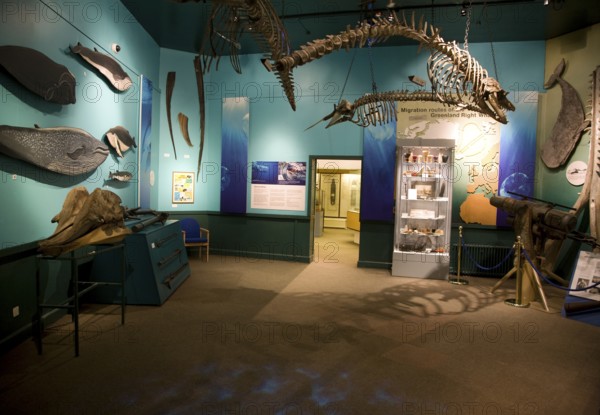 Inside the Maritime museum, Hull, Yorkshire, England, United Kingdom, Europe