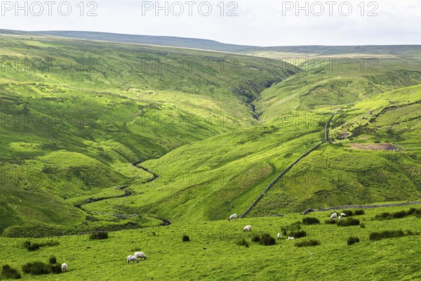 Farms over North Pennines, Cumbria, Durham, Northumberland, North Yorkshire, England, United Kingdom, Europe