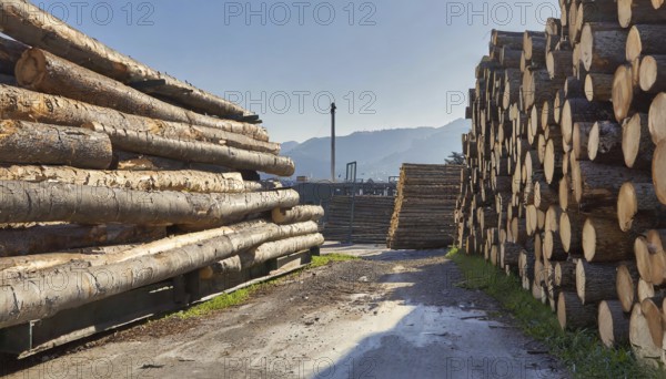 Forestry, timber industry, logs stacked in a sawmill, AI generated, AI generated