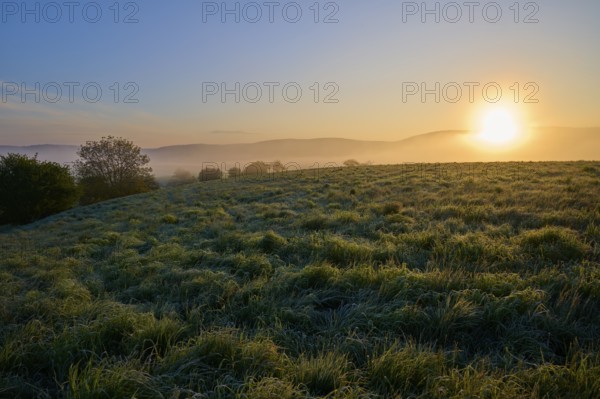 Sunrise over a misty hilly landscape with green meadow and trees in a peaceful atmosphere, Mönchberg, Miltenberg, Spessart, Bavaria, Germany, Europe
