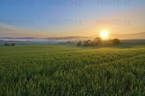 A picturesque sunrise over a wide green field and a gentle hilly landscape, Mönchberg, Mltenberg, Spessart, Bavaria, Germany, Europe