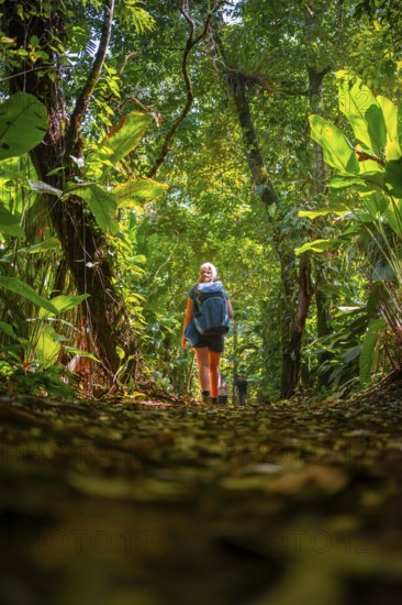 Tourist exploring rainforest, dense vegetation, Tortuguero National Park, Costa Rica, Central America