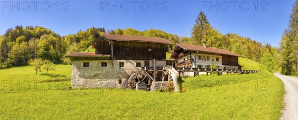 A picturesque watermill in the middle of a green landscape with a blue sky and forest in the background, Nussdorf Mühle