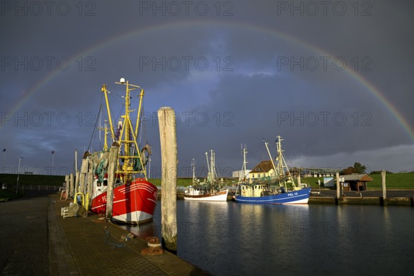 Fishing boats in the harbour of Tammensiel, rainbow, Pellworm Island, Schleswig-Holstein Wadden Sea National Park, North Frisia, Germany, Europe