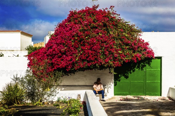 2016, Teguise, Lanzarote, Teguise, ESP, Spain, Canary Islands, Canary Islands, Atlantic Ocean, Lanzarote, biosphere reserve, volcano, volcanism, volcanic island, island, recording date, Europe