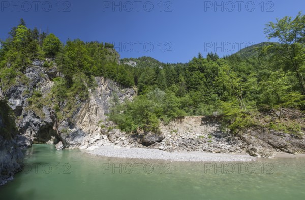 The Lammer creek is flowing fast through the Lammerklamm on a sunny hiking day. Blue sky, turquoise water and green trees