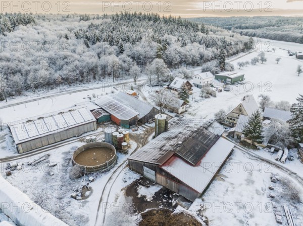 Winter view of a farm with snow-covered roofs and forests in the background, Haselstaller Hof, Calw district, Black Forest, Germany, Europe