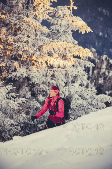 A woman's ski tour at sunrise on the Tegelberg in the Allgäu in the Ammergebirge, Bavaria, Germany, Europe