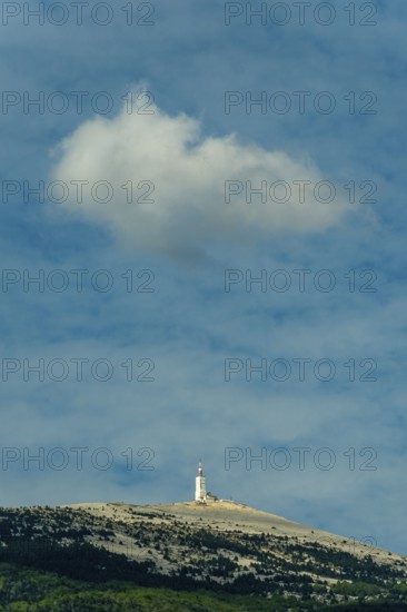 South face of Mont Ventoux (1910m) . Vaucluse. Provence-Alpes-Côte d'Azur. France