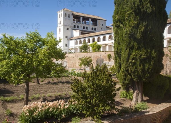 Generalife palace gardens, Alhambra, Granada, Spain, Europe