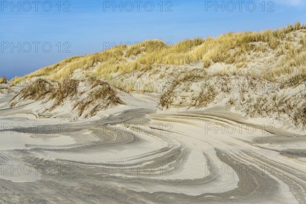 The East Frisian North Sea island of Juist in winter, dunes on the western part of the island, at Billriff, Lower Saxony, Germany, Europe