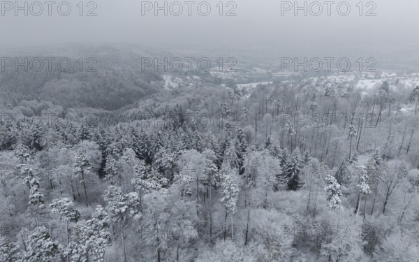 Snow-covered forest landscape with hills and trees under a frosty winter blanket, Berglen-Hösslinswart, Rems-Murr-Kreis, Baden-Württemberg, Germany, Europe