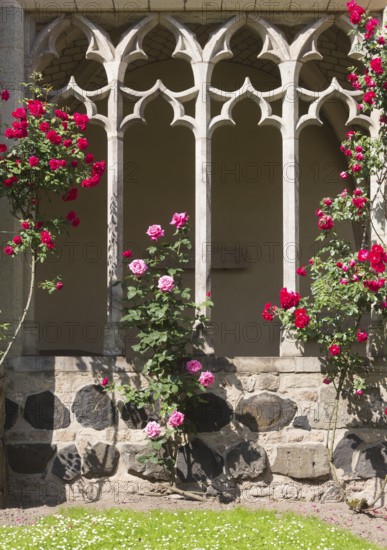 Cloister with roses, St., Saint, Saint