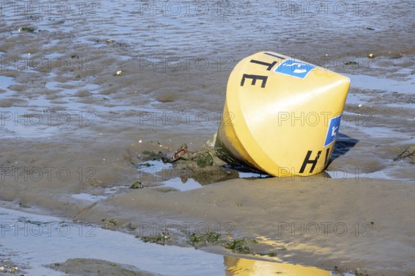 Buoy at low tide on a beach