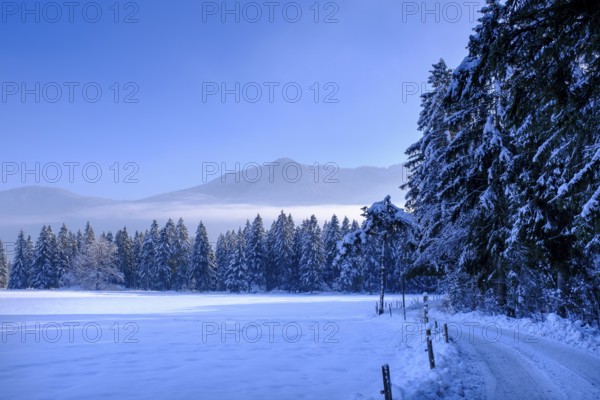 Jachenau near the Landerermühle, Jachenau, in winter, Tölzer Land, Upper Bavaria, Bavaria, Germany, Europe