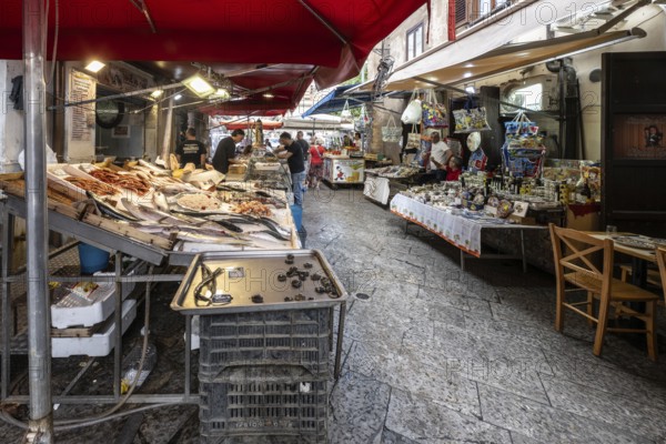 Market in Palermo, Sicily, Italy, Europe