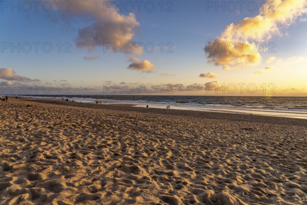 The west beach near Westerland in the evening light, island Sylt, district Nordfriesland, Schleswig-Holstein, Germany, Europe