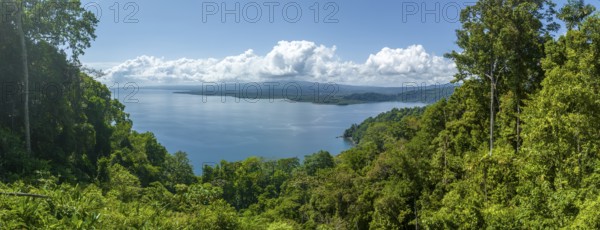 South Pacific and rainforest, Osa Peninsula, Punterenas Province, Costa Rica, Central America