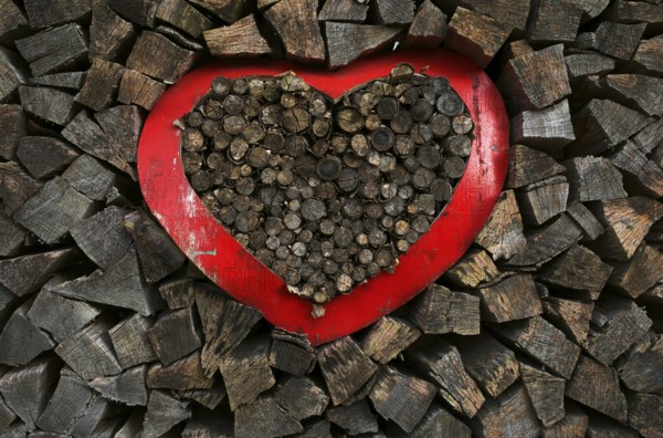 Firewood, wood pile, split, heart, Swabian Forest, Baden-Württemberg, GermanyS