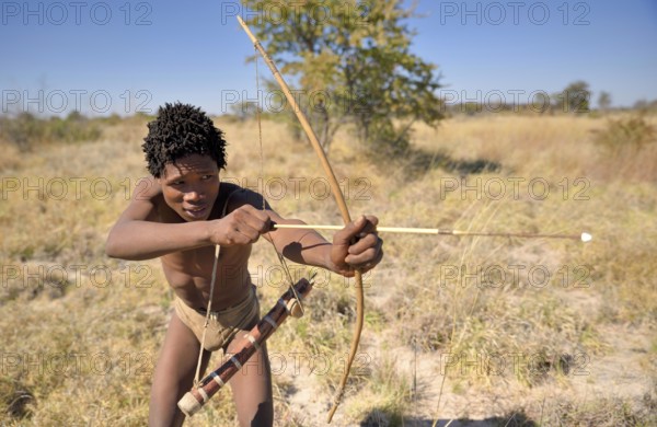 Bushman of the Ju/' Hoansi-San with bow and arrow while hunting, village //Xa/oba, near Tsumkwe, Otjozondjupa region, Namibia, Africa