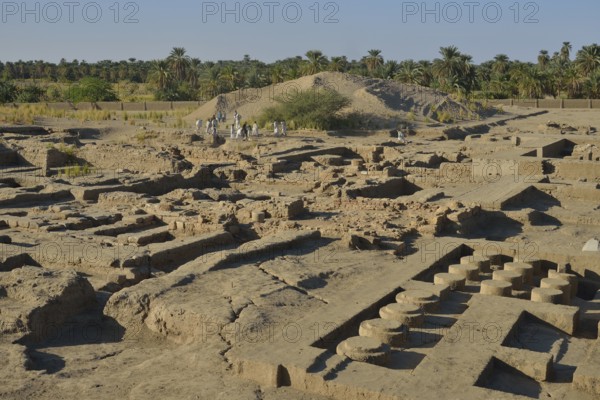 Workers digging in the excavation field of Dukki Gel, near Kerma, Northern State, Nubia, Nile Valley, Sudan, Africa