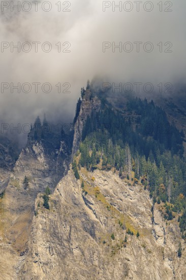 Misty mountain landscape with steep cliffs and dense forest, mysterious atmosphere, Brienz, Switzerland, Europe