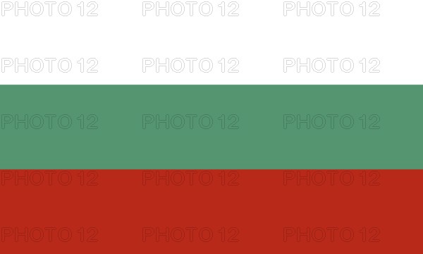 Flag of Bulgaria, Vector illustration