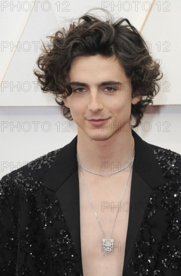 Timothée Chalamet at the 94th Annual Academy Awards held at the Dolby Theatre in Los Angeles, USA on March 27, 2022
