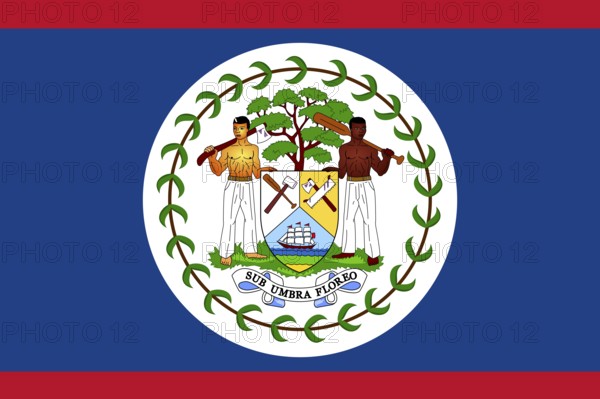 Flag of Belize, Vector illustration