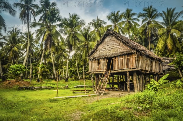 Photo of large house made of straw and bamboo in Palembe, Sepik river in Papua New Guinea. In this region, one can only meet people from isolated local tribes