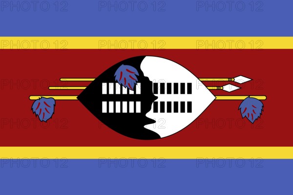 Flag of Eswatini Swaziland, Vector illustration