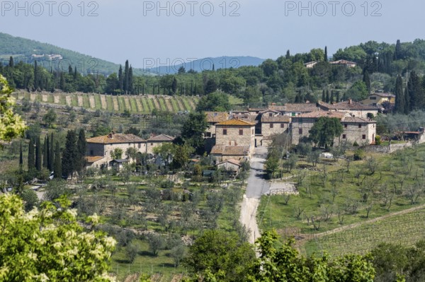 Winery Castello di Ama, Chianti region, Tuscany, Italy, Europe