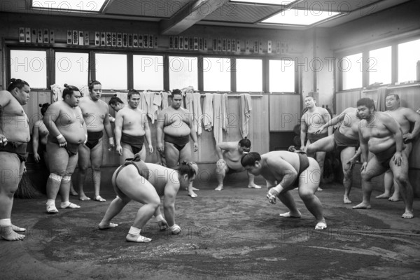 Tokyo, Japan, December 21, 2014: Japanese sumo wrestler training in their stall in Ryogoku district, Asia
